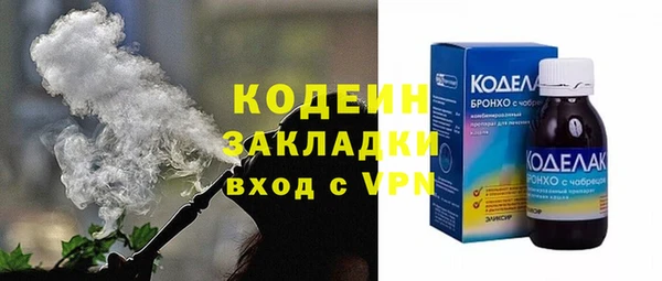 хмурый Алексин
