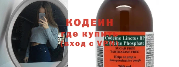 хмурый Алексин