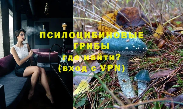 ешки Алексеевка
