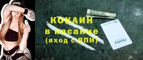 хмурый Алексин