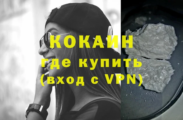 хмурый Алексин