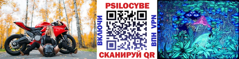 Галлюциногенные грибы Psilocybine cubensis наркота Жуковка